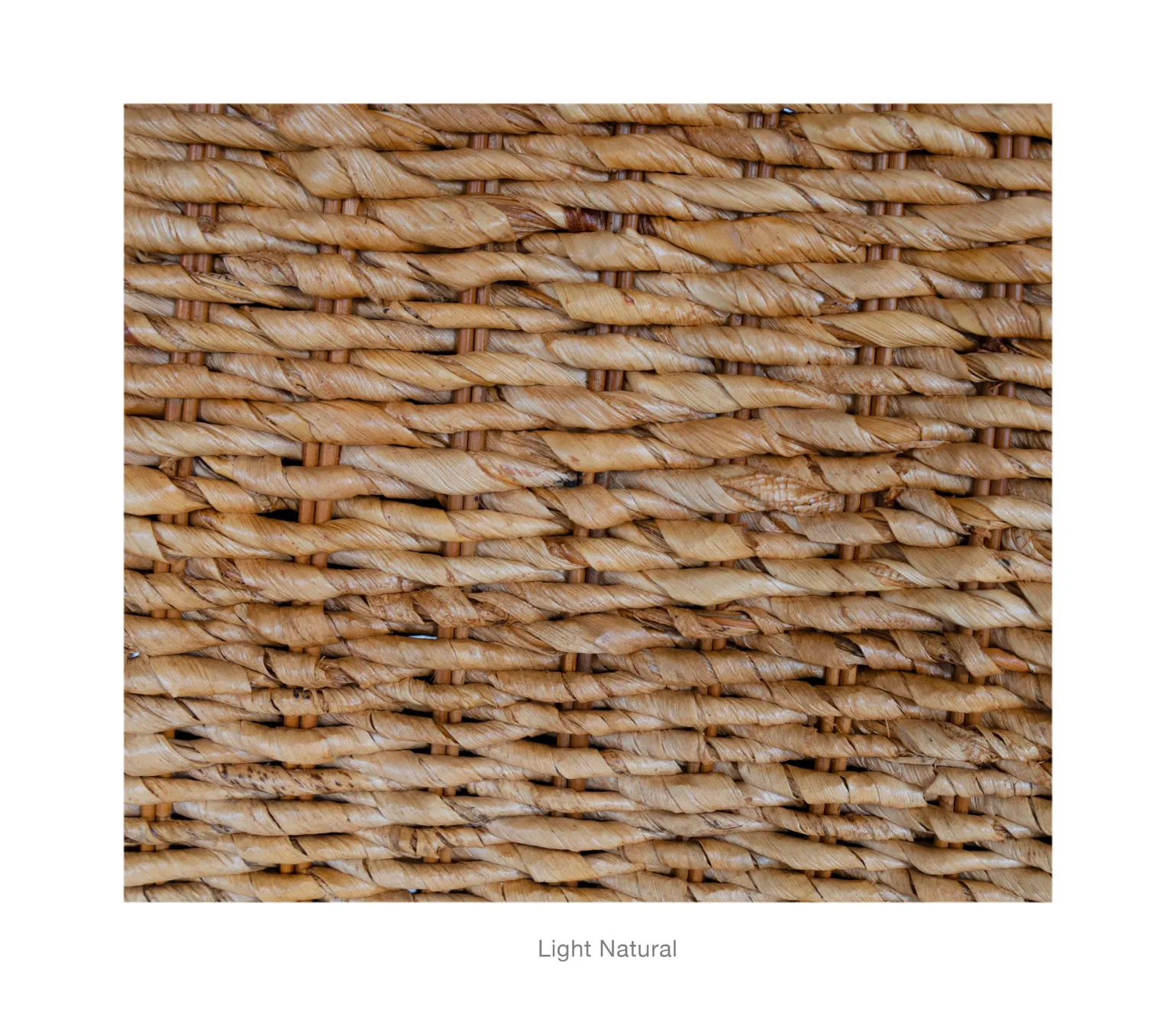 Catalina Side Chair - Light Natural