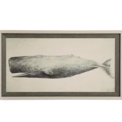 Classic Whale Framed Print