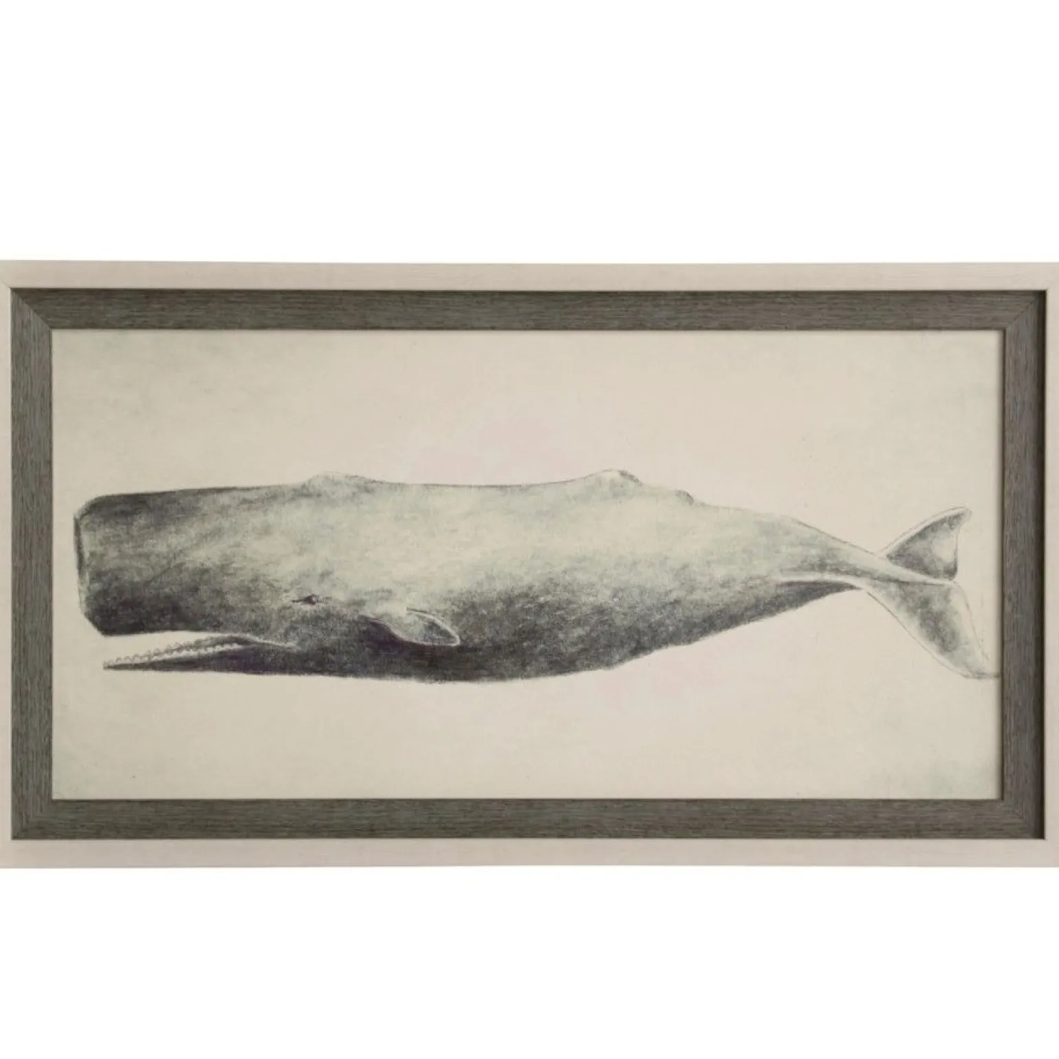 Classic Whale Framed Print