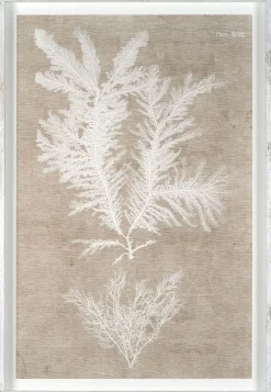 Nature IV