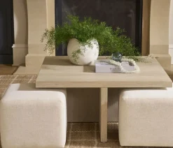 Oasis Bunching Coffee Table & Ottomans