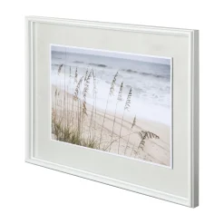 Silver Seagrass