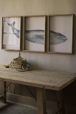 Triptych Whale